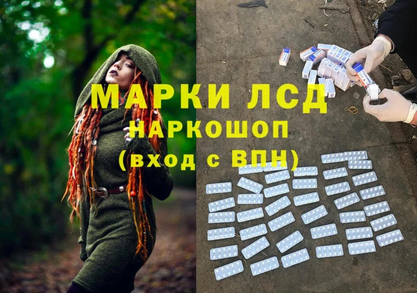амф Богданович